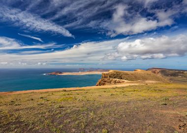 Spain wildlife, Lanzarote