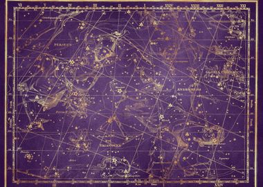 Purple Gold Star Map 03