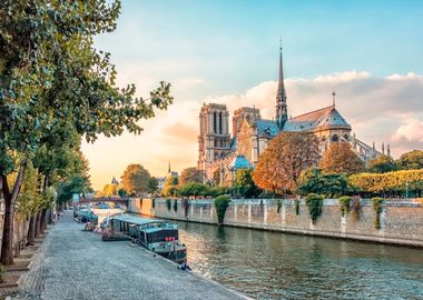 Notre Dame at sunset