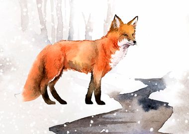 Fox Animal in Winter Snow