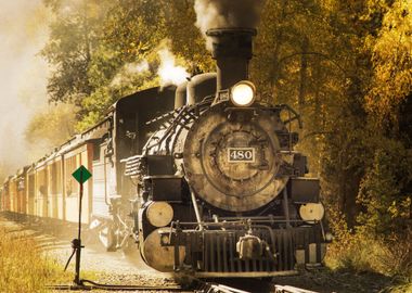 Vintage steam locomotive