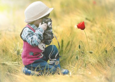 Klatschmohn Poppy