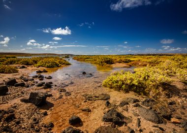 Spain lake,view Lanzarote