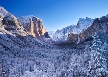 Yosemite Park USA Nature