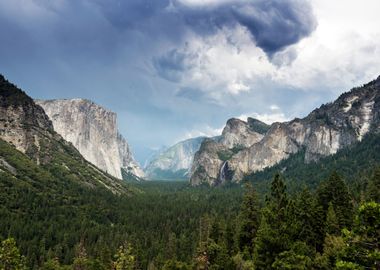 The Rocks in Forest Nature