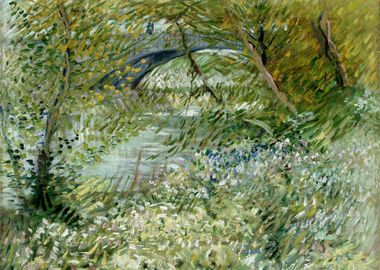 River Bank in Springtime