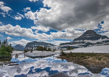 Early Summer Logan Pass