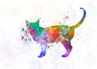 Singapura cat  watercolor