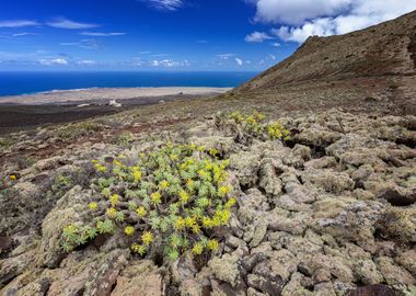 Spain, volcano, wildlife