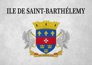 Flag of Saint Barthlemy