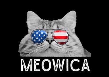 Cat 4th of July America