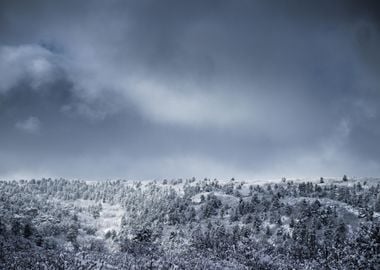 Frozen Lands