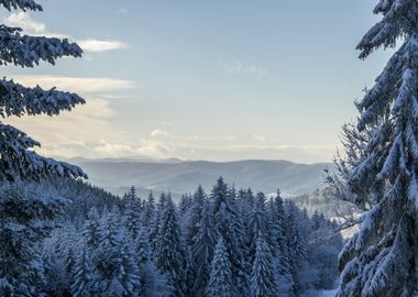 Frozen Lands