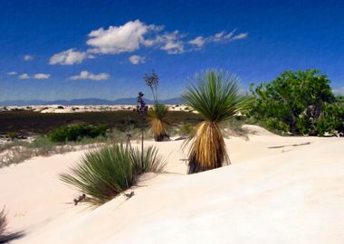 White Sands 