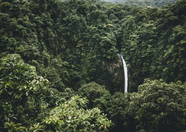 Surrounded by Nature