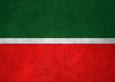 Flag of Tatarstan on Wall