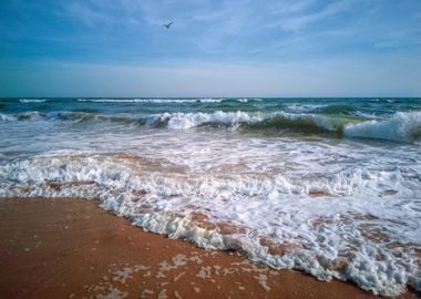 Sandy Sea Beach with Waves