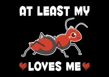 My Ant Loves Me Insect