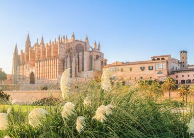 Mallorca Spain Travel City