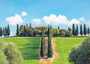 Tuscany Countryside