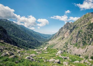 French Alps