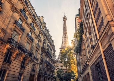 Paris Street