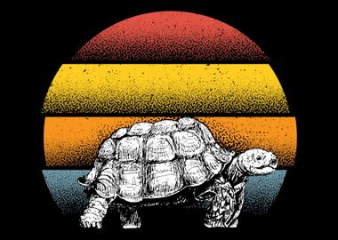 Turtle Sunset