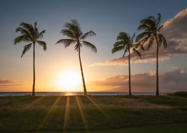 Maui