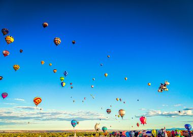 Hot Air Balloon Festival