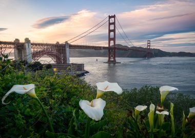 Presidio Springtime