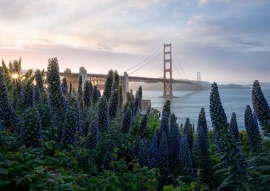 Golden Gate at Presidio