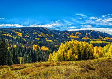 Cumbres and Toltec Train