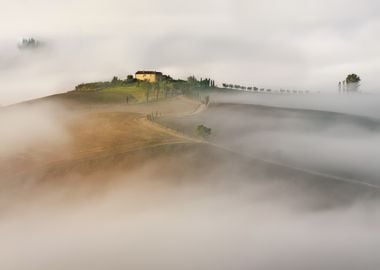 Tuscany Mist