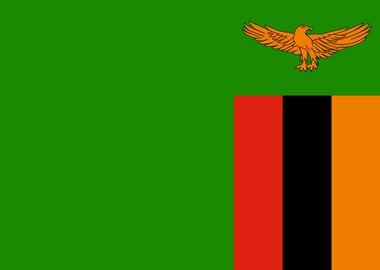 Zambia Flag