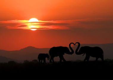 Elephants Animal Sunset 