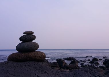 Balance in Nature