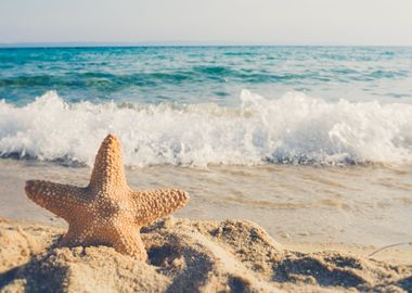 Seashells on the Beach