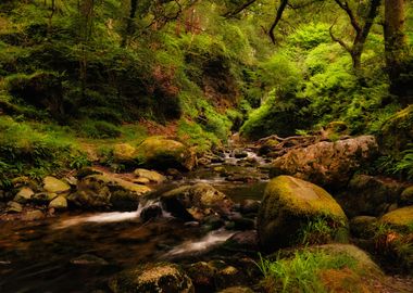 Glendalough creeks