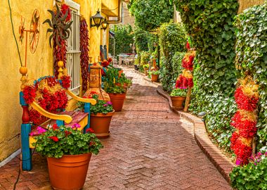 Albuquerque Patio