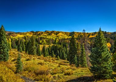 Cumbres Toltec Railroad