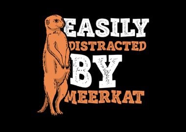 Meerkat