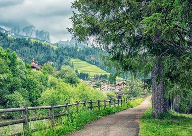 Alpine Landscape