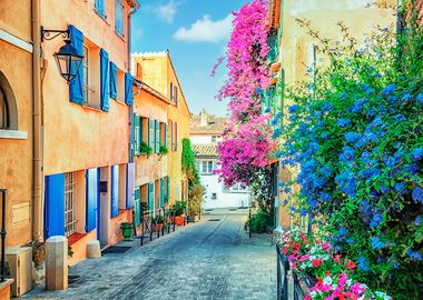 Flowers In St Tropez