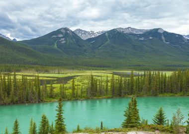 Backswamp Banff