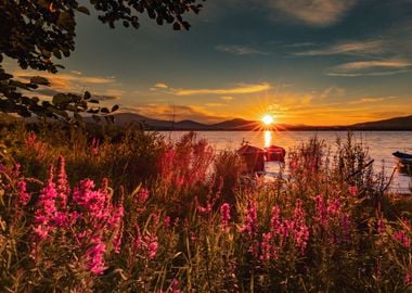 Sumer sunset, lake, Poland