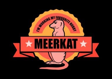 Meerkat