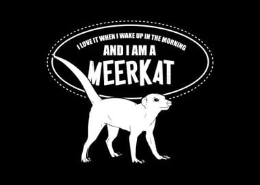 Meerkat