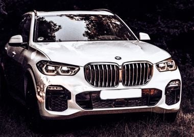 Bmw X5 Car