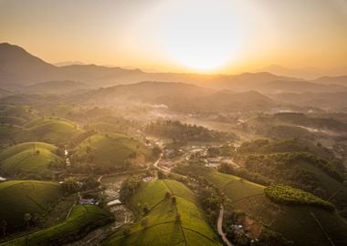 Sunrise over plantations