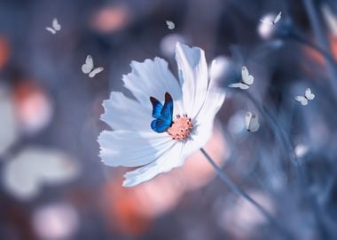 White flowers in garden